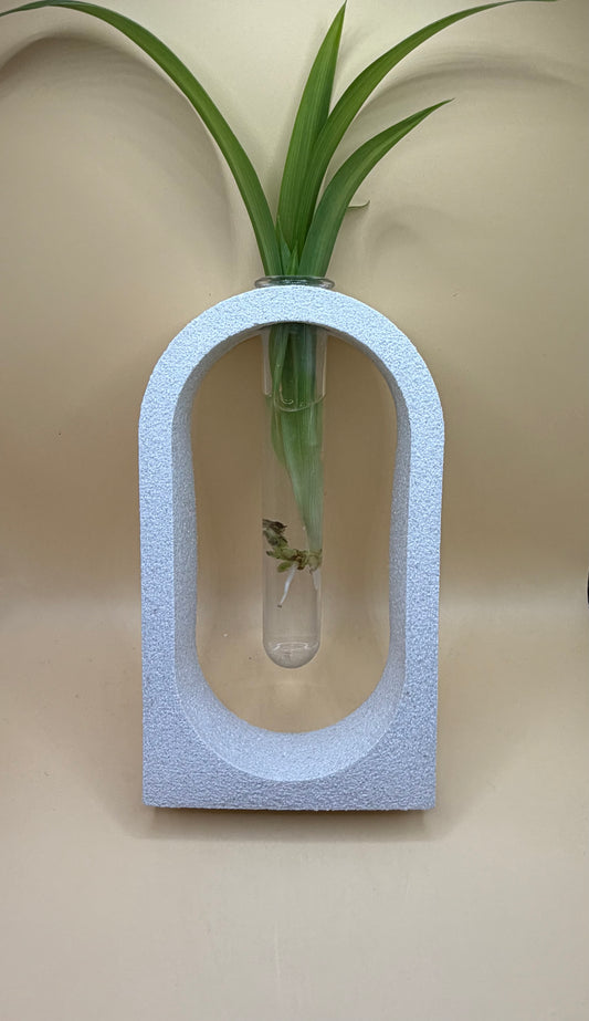 Koko’s Propagation Station - With Spider Plant