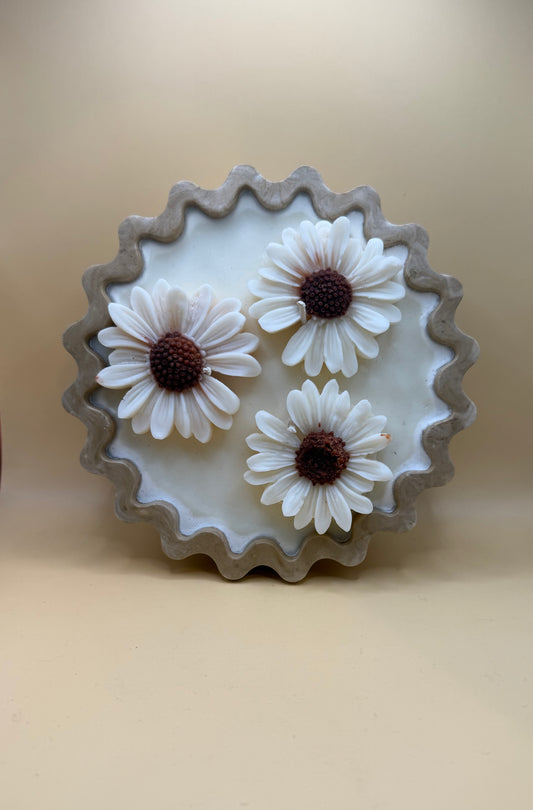 3 Wick Daisy Candle - Bahama Mama